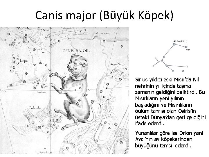 Canis major (Büyük Köpek) Sirius yıldızı eski Mısır’da Nil nehrinin yıl içinde taşma zamanın