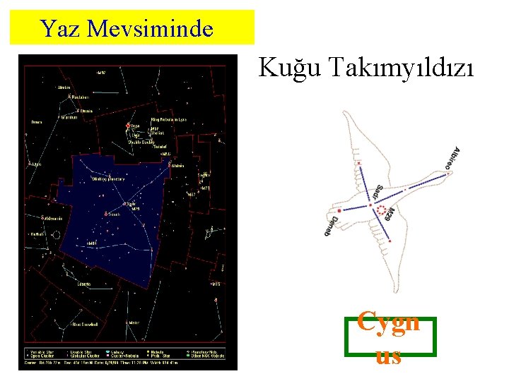 Yaz Mevsiminde Kuğu Takımyıldızı Cygn us 