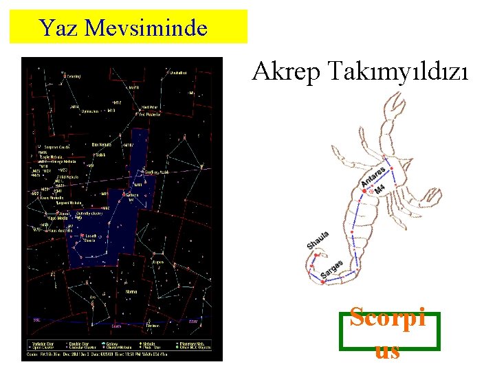 Yaz Mevsiminde Akrep Takımyıldızı Scorpi us 