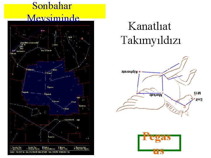 Sonbahar Mevsiminde Kanatlıat Takımyıldızı Pegas us 