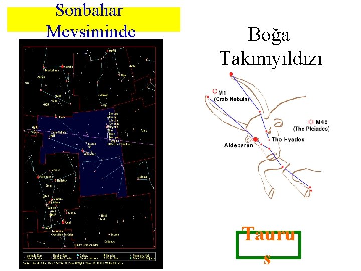 Sonbahar Mevsiminde Boğa Takımyıldızı Tauru s 