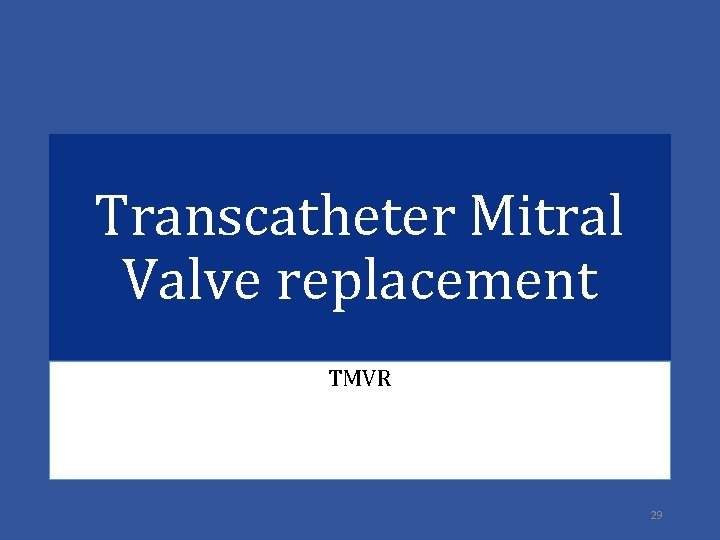 Transcatheter Mitral Valve replacement TMVR 29 