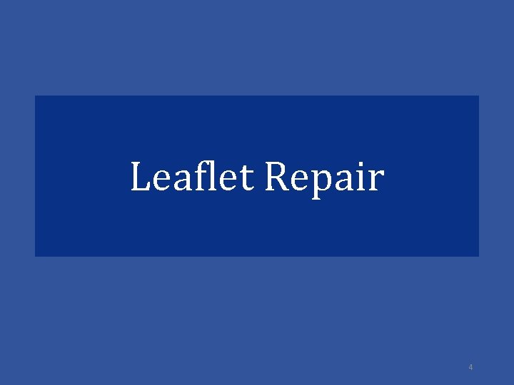 Leaflet Repair 4 