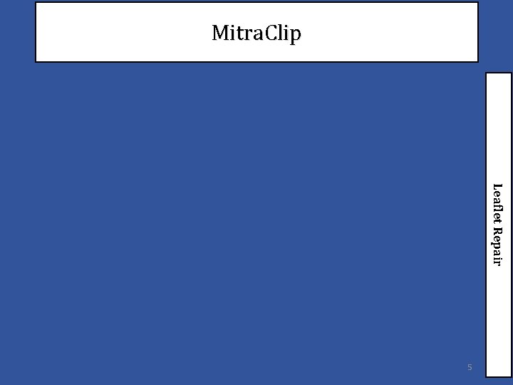 Mitra. Clip Leaflet Repair 5 