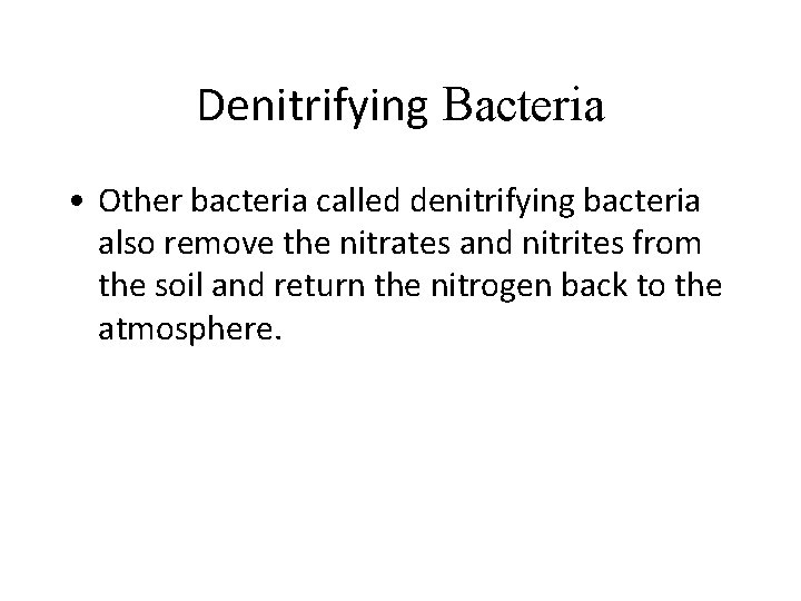 Denitrifying Bacteria • Other bacteria called denitrifying bacteria also remove the nitrates and nitrites