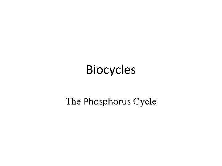 Biocycles The Phosphorus Cycle 