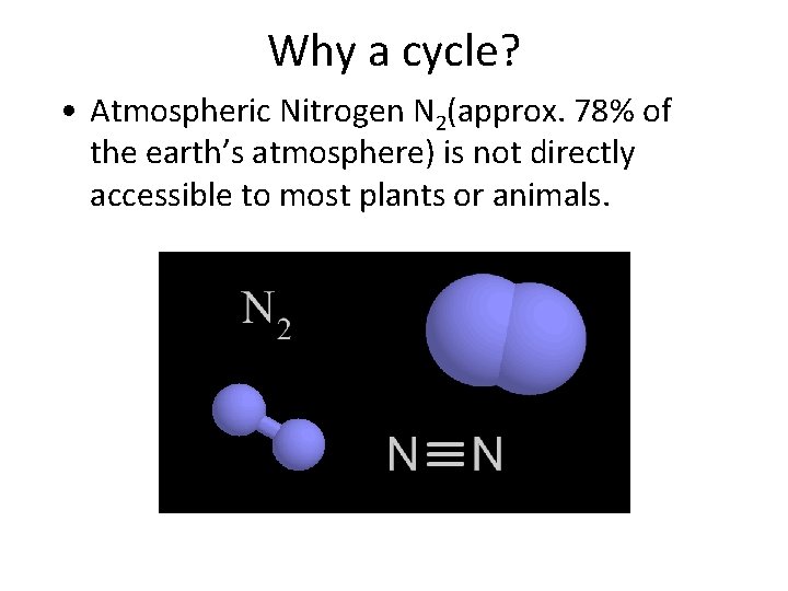 Why a cycle? • Atmospheric Nitrogen N 2(approx. 78% of the earth’s atmosphere) is