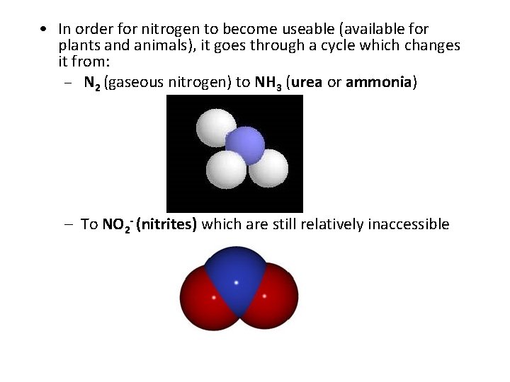  • In order for nitrogen to become useable (available for plants and animals),