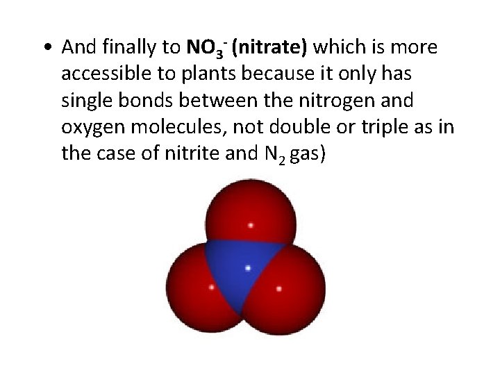  • And finally to NO 3 - (nitrate) which is more accessible to