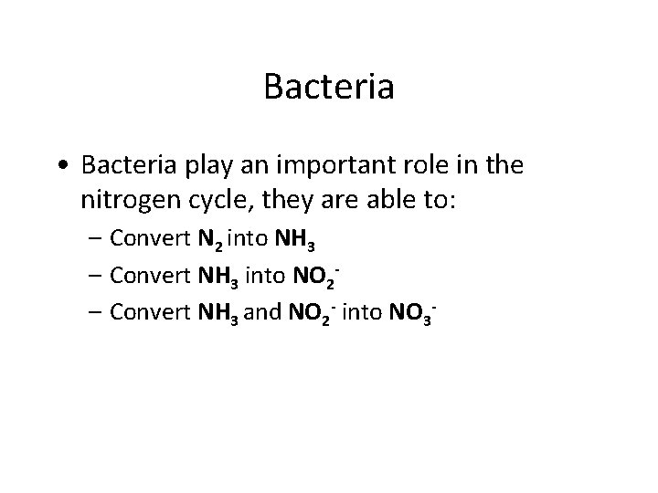 Bacteria • Bacteria play an important role in the nitrogen cycle, they are able