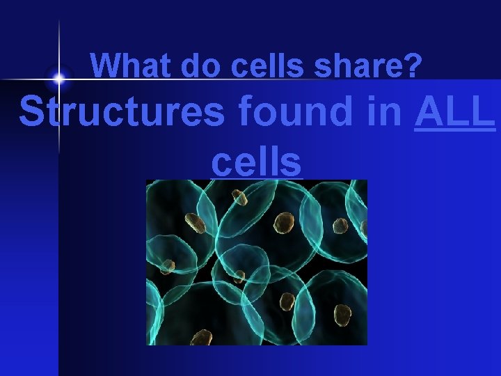 What do cells share? Structures found in ALL cells 