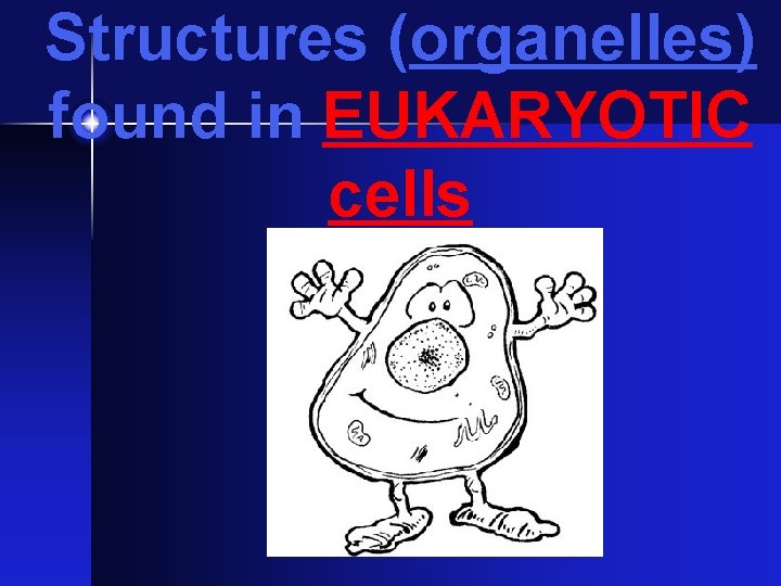 Structures (organelles) found in EUKARYOTIC cells 