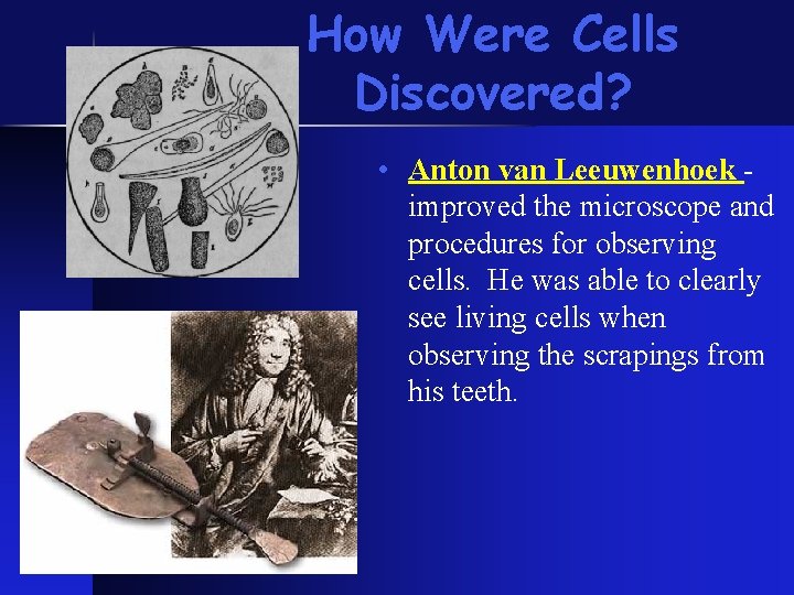 How Were Cells Discovered? • Anton van Leeuwenhoek improved the microscope and procedures for
