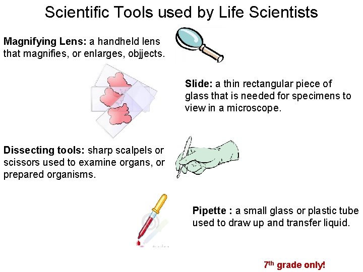 Scientific Tools used by Life Scientists Magnifying Lens: a handheld lens that magnifies, or