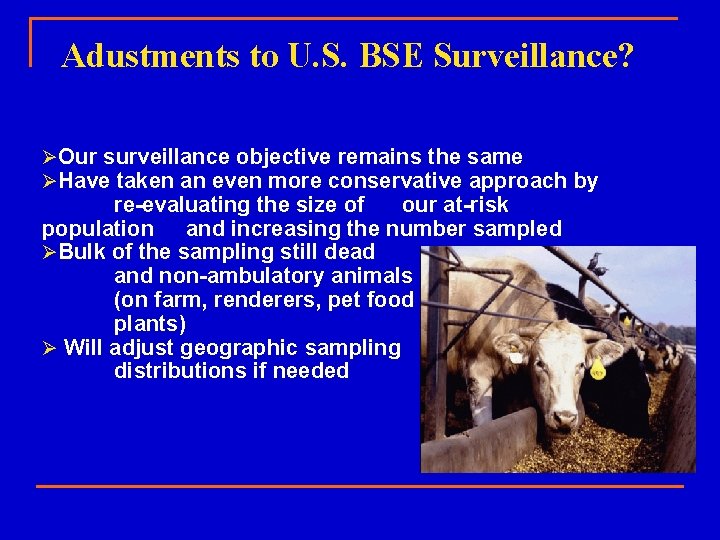 Adustments to U. S. BSE Surveillance? ØOur surveillance objective remains the same ØHave taken