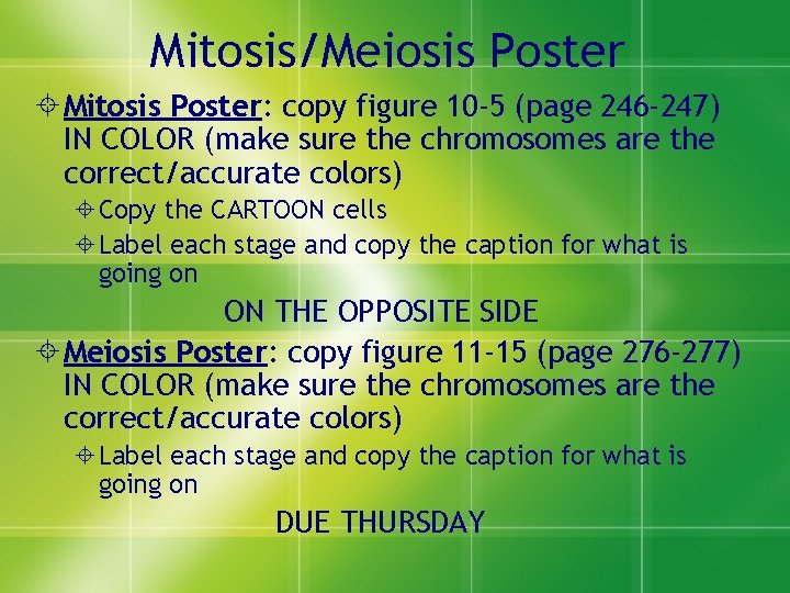 Mitosis/Meiosis Poster Mitosis Poster: copy figure 10 -5 (page 246 -247) IN COLOR (make