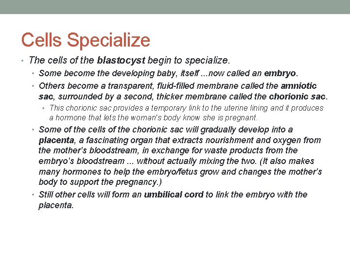Cells Specialize • The cells of the blastocyst begin to specialize. • Some become