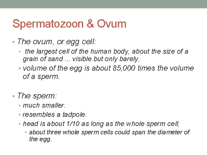 Spermatozoon & Ovum • The ovum, or egg cell: • the largest cell of