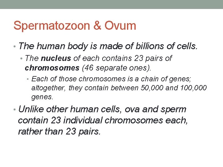 Spermatozoon & Ovum • The human body is made of billions of cells. •