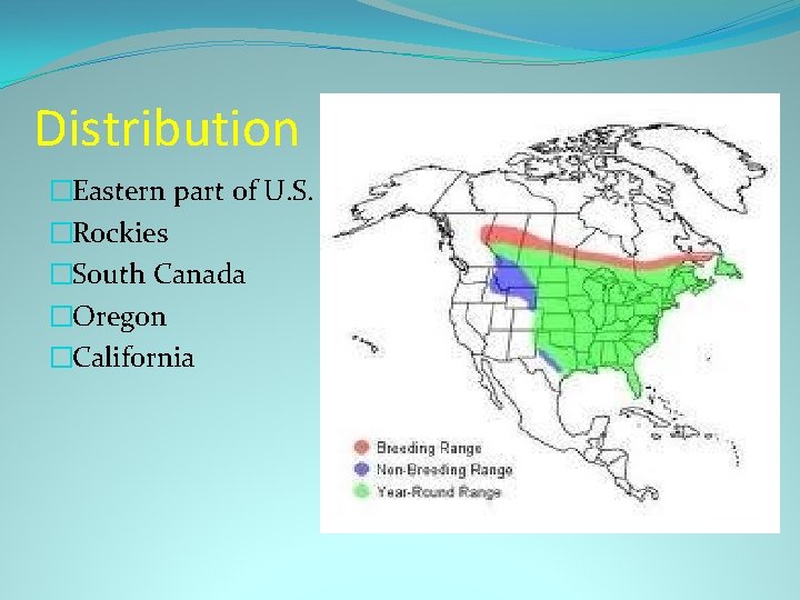 Distribution �Eastern part of U. S. �Rockies �South Canada �Oregon �California 