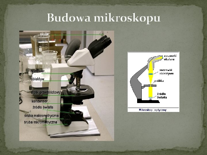 Budowa mikroskopu 
