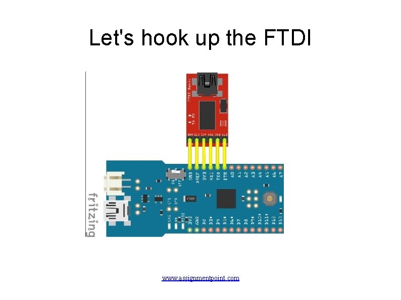 Let's hook up the FTDI www. assignmentpoint. com 