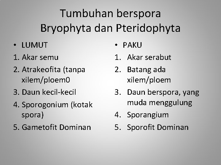 Tumbuhan berspora Bryophyta dan Pteridophyta • LUMUT 1. Akar semu 2. Atrakeofita (tanpa xilem/ploem