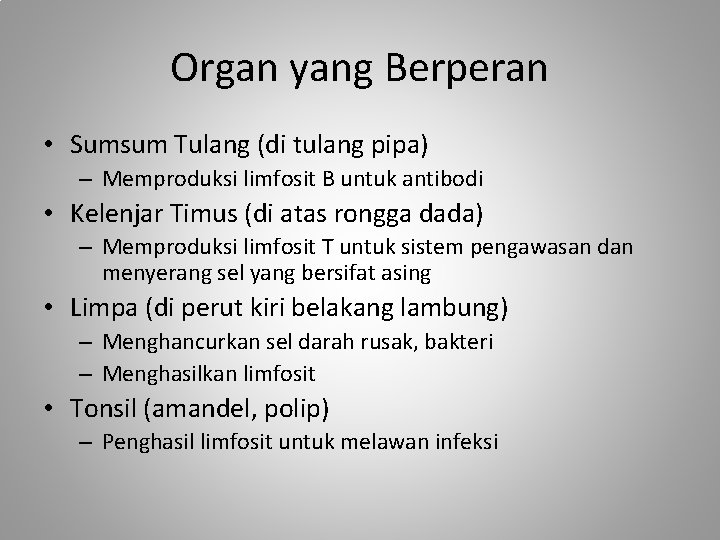 Organ yang Berperan • Sumsum Tulang (di tulang pipa) – Memproduksi limfosit B untuk