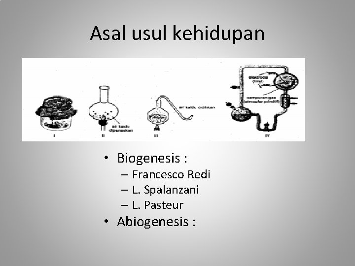 Asal usul kehidupan • Biogenesis : – Francesco Redi – L. Spalanzani – L.