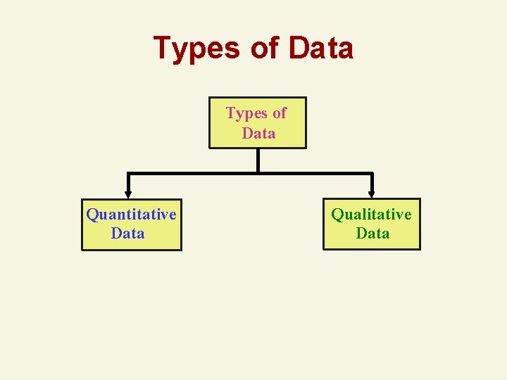 Types of Data Quantitative Data Qualitative Data Types of Data Quantitative Data Qualitative Data