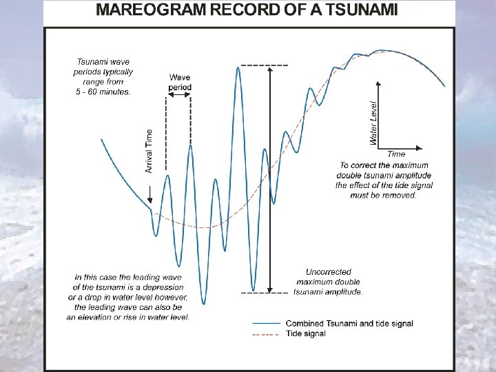 PTWC Sea Level Data Processing 