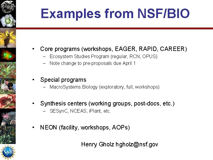 Examples from NSF/BIO • Core programs (workshops, EAGER, RAPID, CAREER) – Ecosystem Studies Program