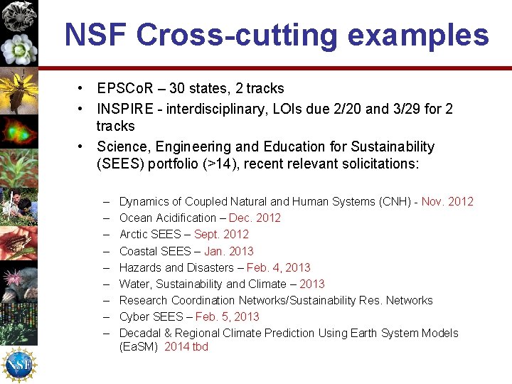 NSF Cross-cutting examples • EPSCo. R – 30 states, 2 tracks • INSPIRE -
