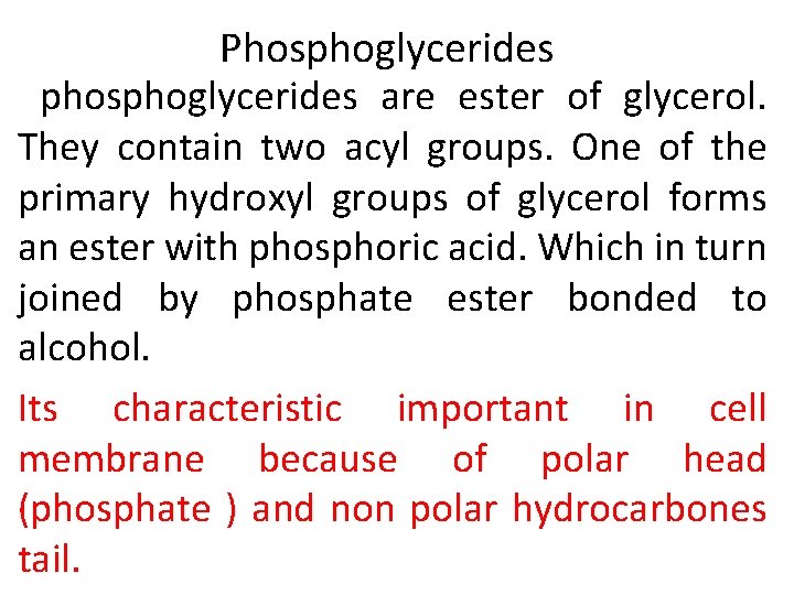 Phosphoglycerides phosphoglycerides are ester of glycerol. They contain two acyl groups. One of the
