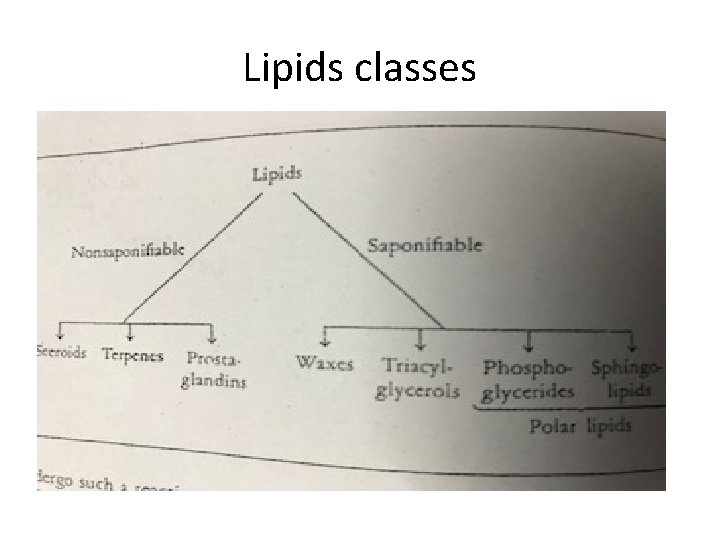 Lipids classes 