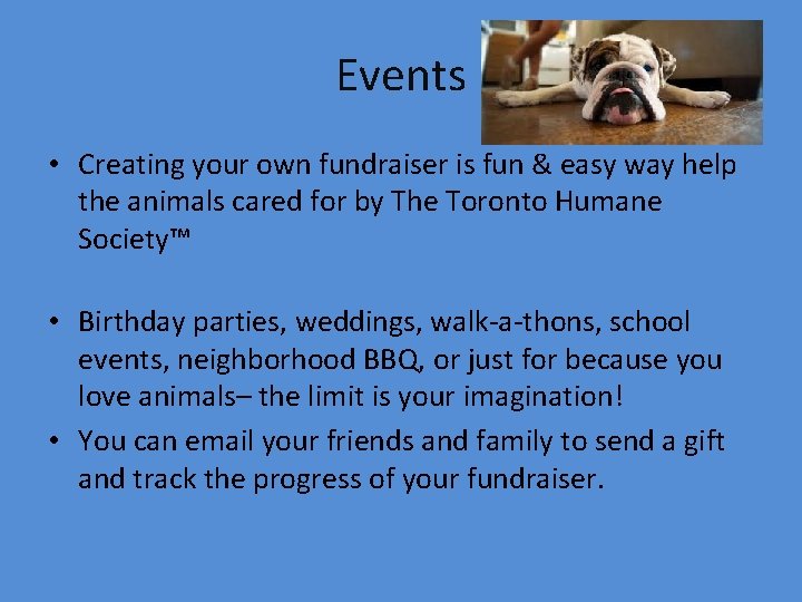 Events • Creating your own fundraiser is fun & easy way help the animals