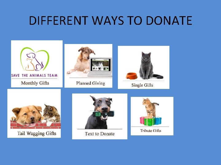 DIFFERENT WAYS TO DONATE 