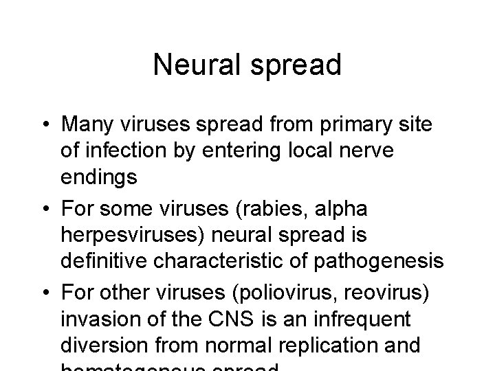 Neural spread • Many viruses spread from primary site of infection by entering local