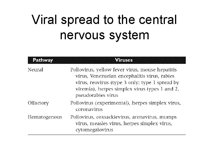 Viral spread to the central nervous system 