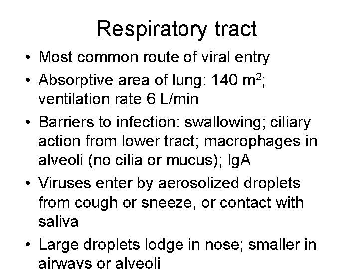 Respiratory tract • Most common route of viral entry • Absorptive area of lung: