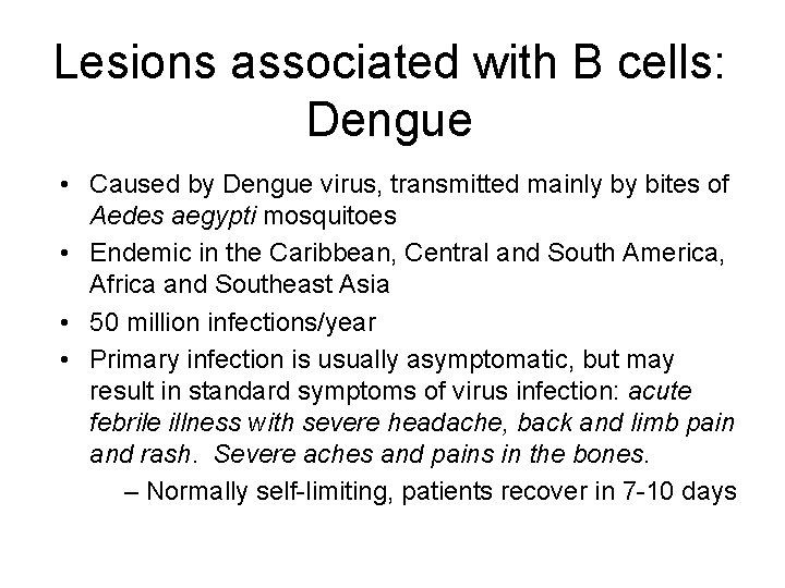 Lesions associated with B cells: Dengue • Caused by Dengue virus, transmitted mainly by
