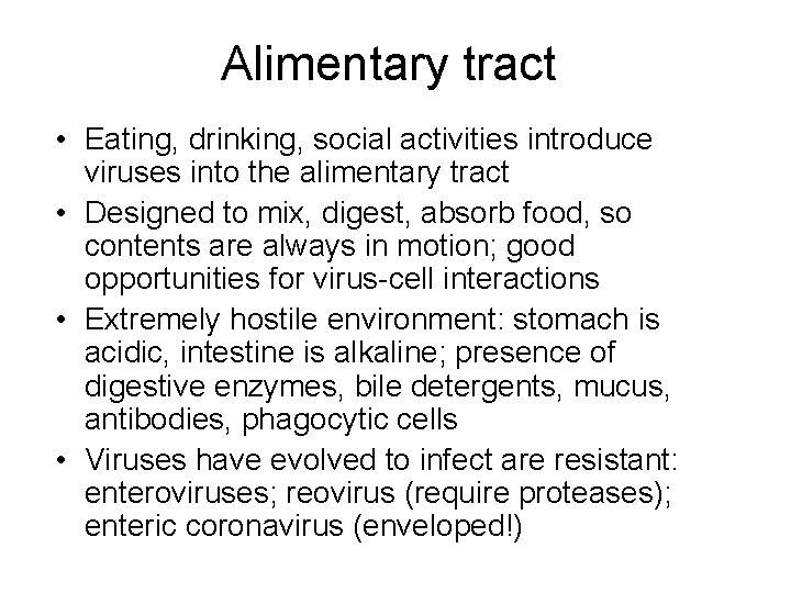 Alimentary tract • Eating, drinking, social activities introduce viruses into the alimentary tract •
