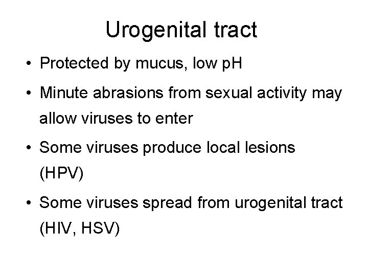 Urogenital tract • Protected by mucus, low p. H • Minute abrasions from sexual