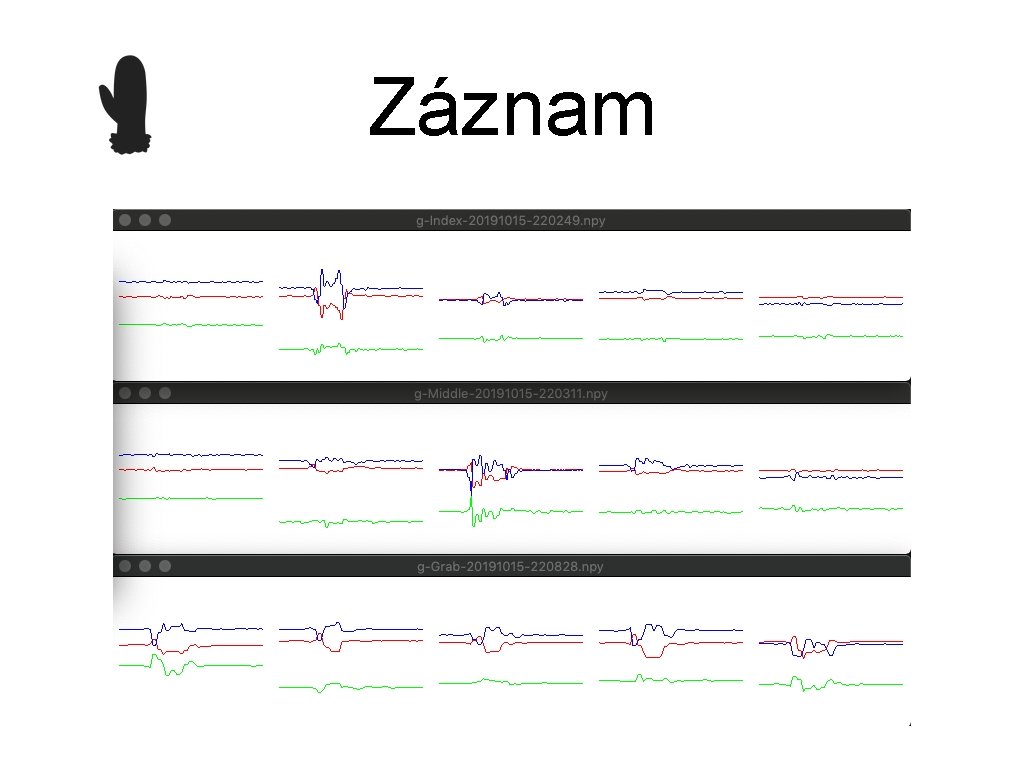 Záznam 