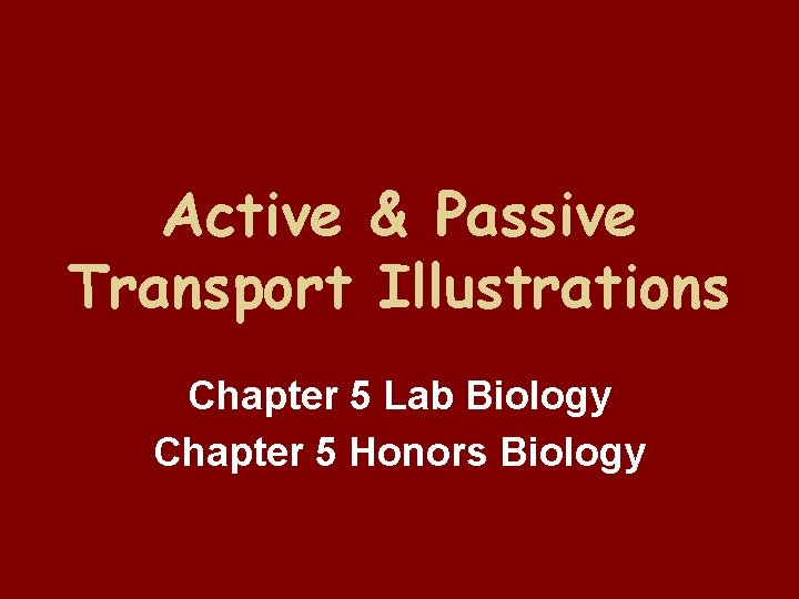 Active & Passive Transport Illustrations Chapter 5 Lab Biology Chapter 5 Honors Biology 