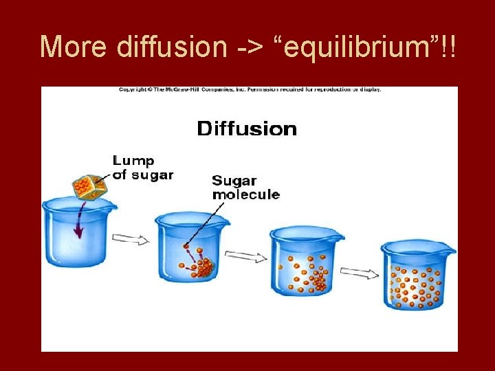 More diffusion -> “equilibrium”!! 