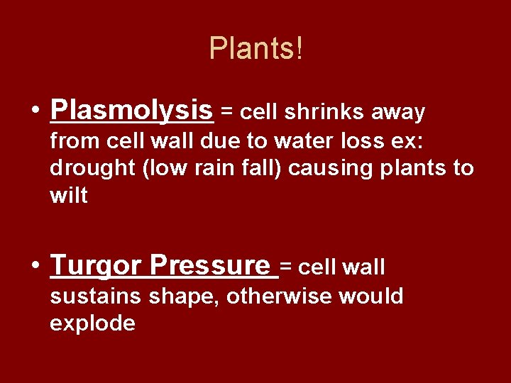 Plants! • Plasmolysis = cell shrinks away from cell wall due to water loss