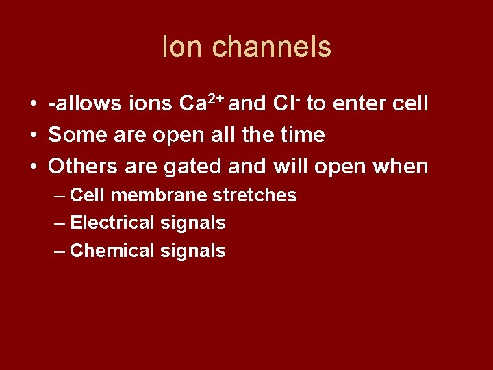 Ion channels • -allows ions Ca 2+ and Cl- to enter cell • Some