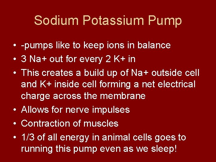 Sodium Potassium Pump • -pumps like to keep ions in balance • 3 Na+
