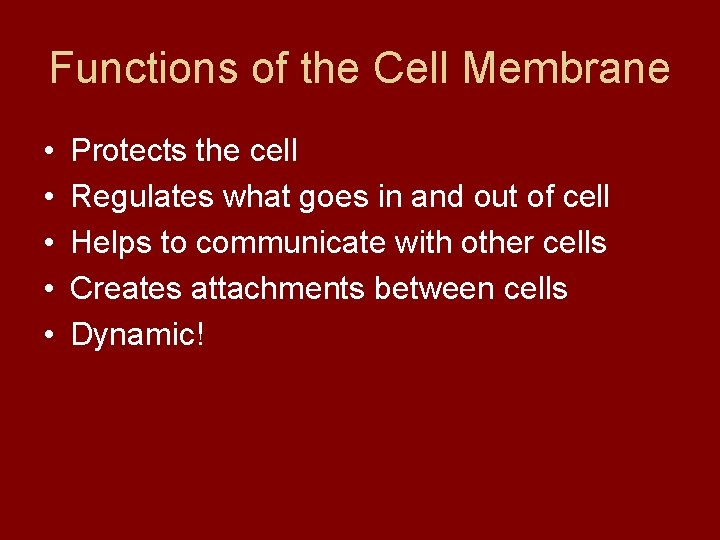 Functions of the Cell Membrane • • • Protects the cell Regulates what goes